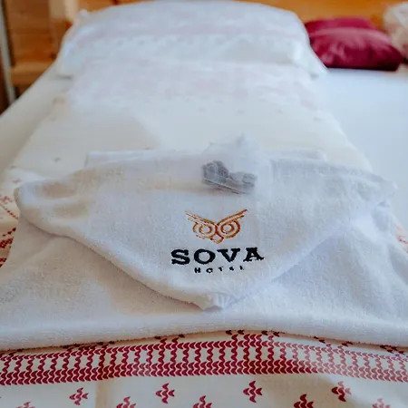 Guest house Sova Tourist Zdiar